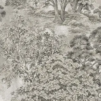 Trees TR72008
