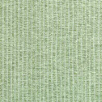 Salem Stripe W9138