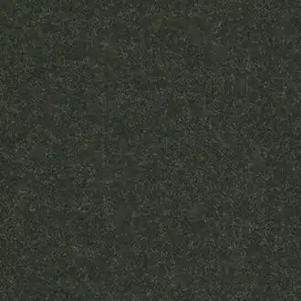 Paxton 04 Carbon
