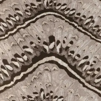 Moth Weave 37326-1611