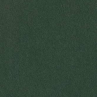 Manero 01 Fir