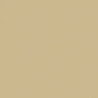 Zion 49 Sand
