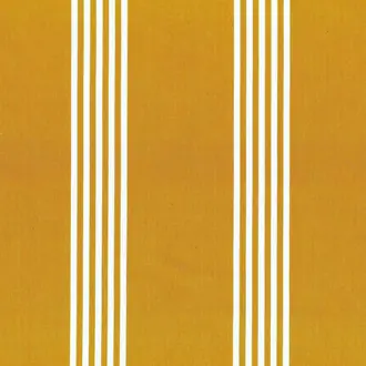 Canvas Stripe FA367-181