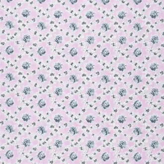 Wild Rose F1920-02