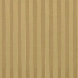 Suffolk Stripe 333399