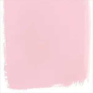 Dianthus Pink No 132 Paint