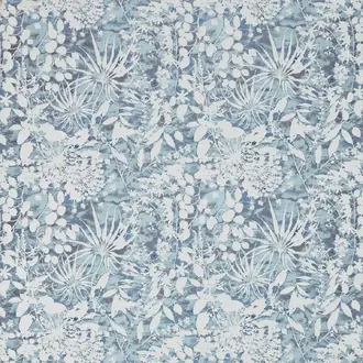 Coralline 132298