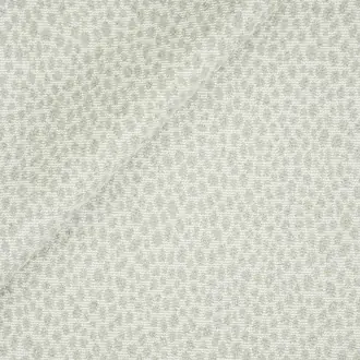Rock Pool 2358-02