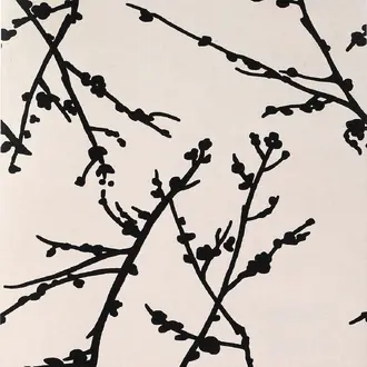 Almendros GDW-4849 001