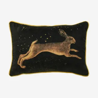 Pisanello Hare ACC2844