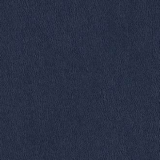 Manero 02 Blue Steel