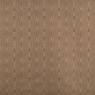 Cortex TA001190