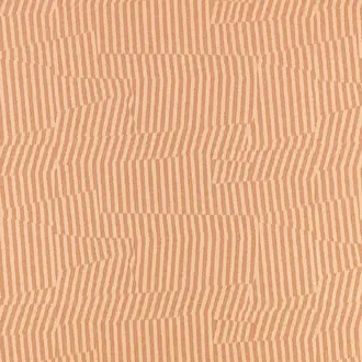 Vector Pink Apricot