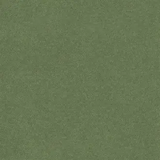 Brinzio FDG3231-24