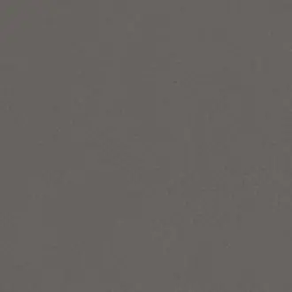 Shagreen Steeple