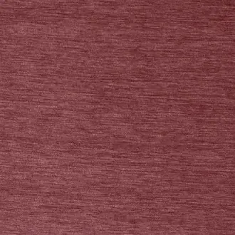 Kensington Antique Rose