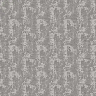 Rey 02 Rhino