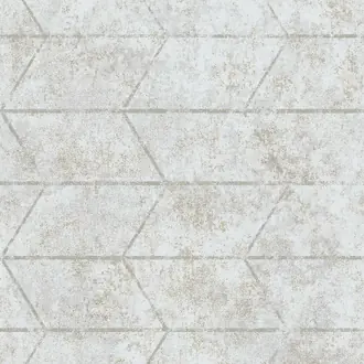 Paradox ML01439