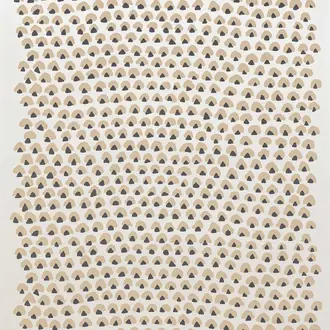 Noisette FP252001