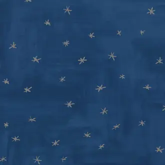 Twinkle Twinkle W581-03