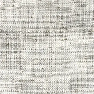 Raffia Weave 2750068981