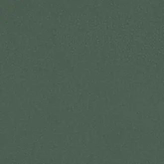 Shagreen Evergreen