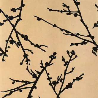 Almendros GDW-4849 002