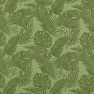 Palmetto Kiwi