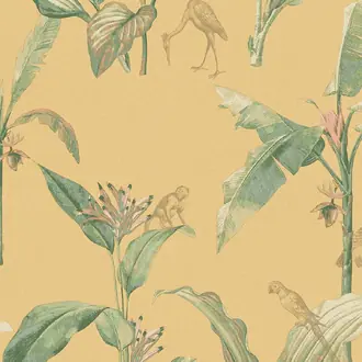 Oasis 317343