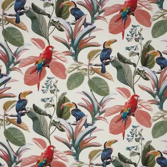 Parakeet 2816-428