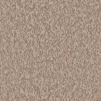 Casca CAS31