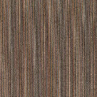 Polo Berry M598-07