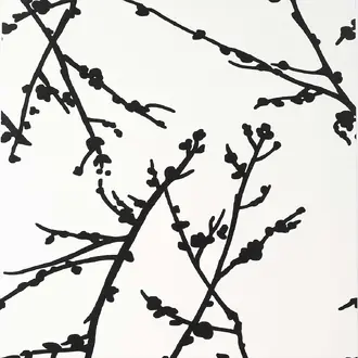 Almendros GDW-4849 003