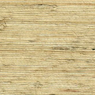 Extra Fine Arrowroot Almond 1740