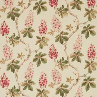 Chestnut Tree Coral Bayleaf 225517