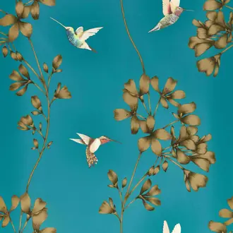 Amazilia 112604