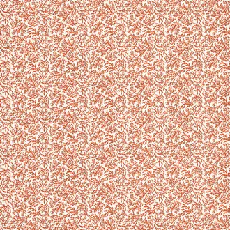 Seabed F1729-02