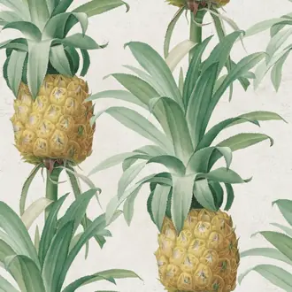 Ananas WP20090