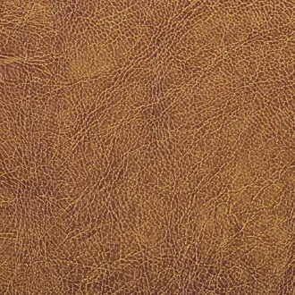 Chesterfield Buck