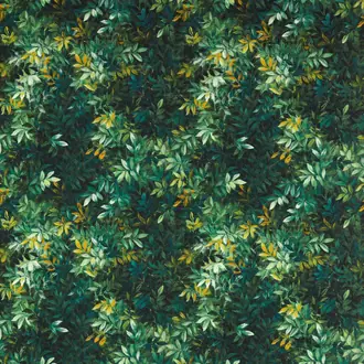 Congo Outdoor F1666-01