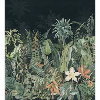 Daintree 75662036