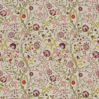 Mary Isobel DMCOMA201
