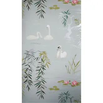 Swan Lake NCW4020-01