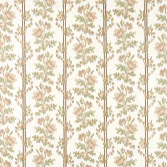 Apothecary Rose 237597
