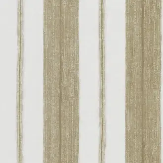 Scillo Cinnamon PWY9004-06