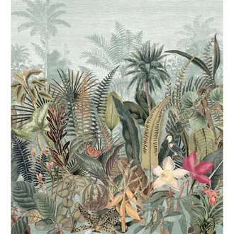 Daintree 75662138