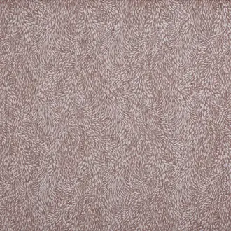 Pluma 4281-543