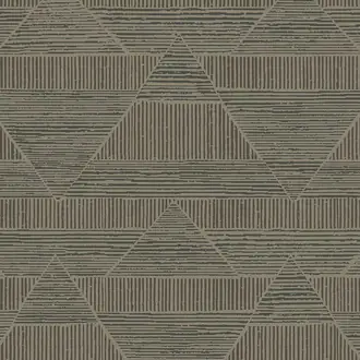 Artifact 312413
