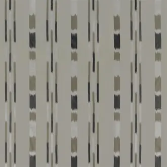 Pachra FDG3013-01