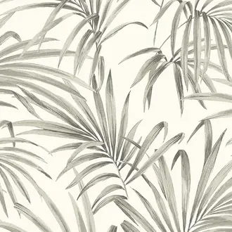 Palm LOT101